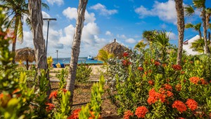 Onbeperkt genieten bij Plaza Beach Resort Bonaire