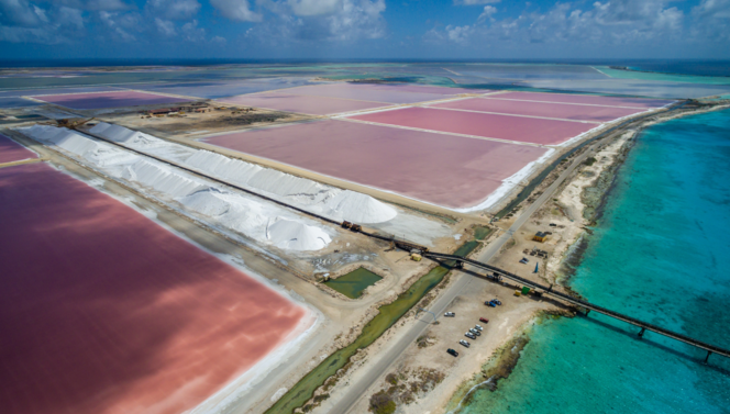 Roze pekelmeer Plaza Beach & Dive Resort Bonaire