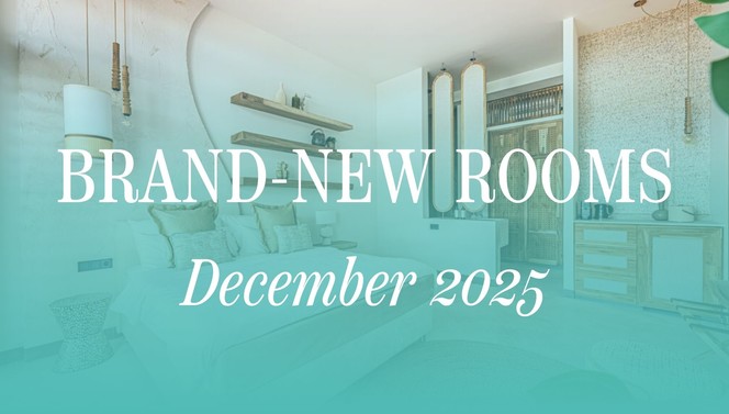 Deluxe Laguna Room Plaza Resort Bonaire