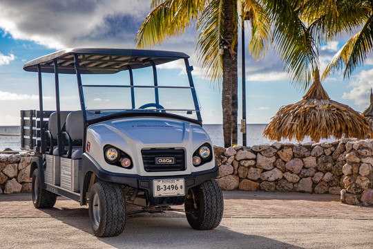 Golf cart & car rental