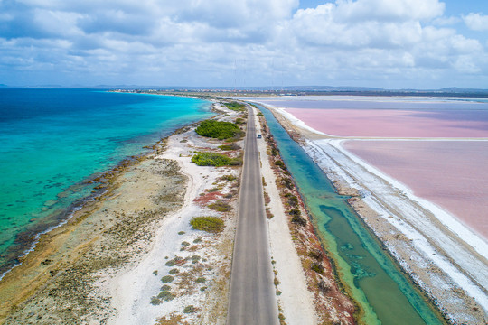 Tropical Bonaire