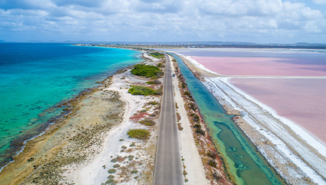 Pink Brine Lake